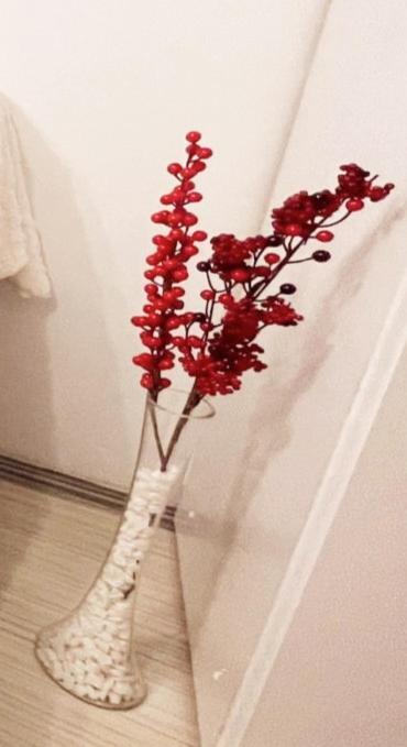 Buzz Apartment Kaloşvar Dış mekan fotoğraf